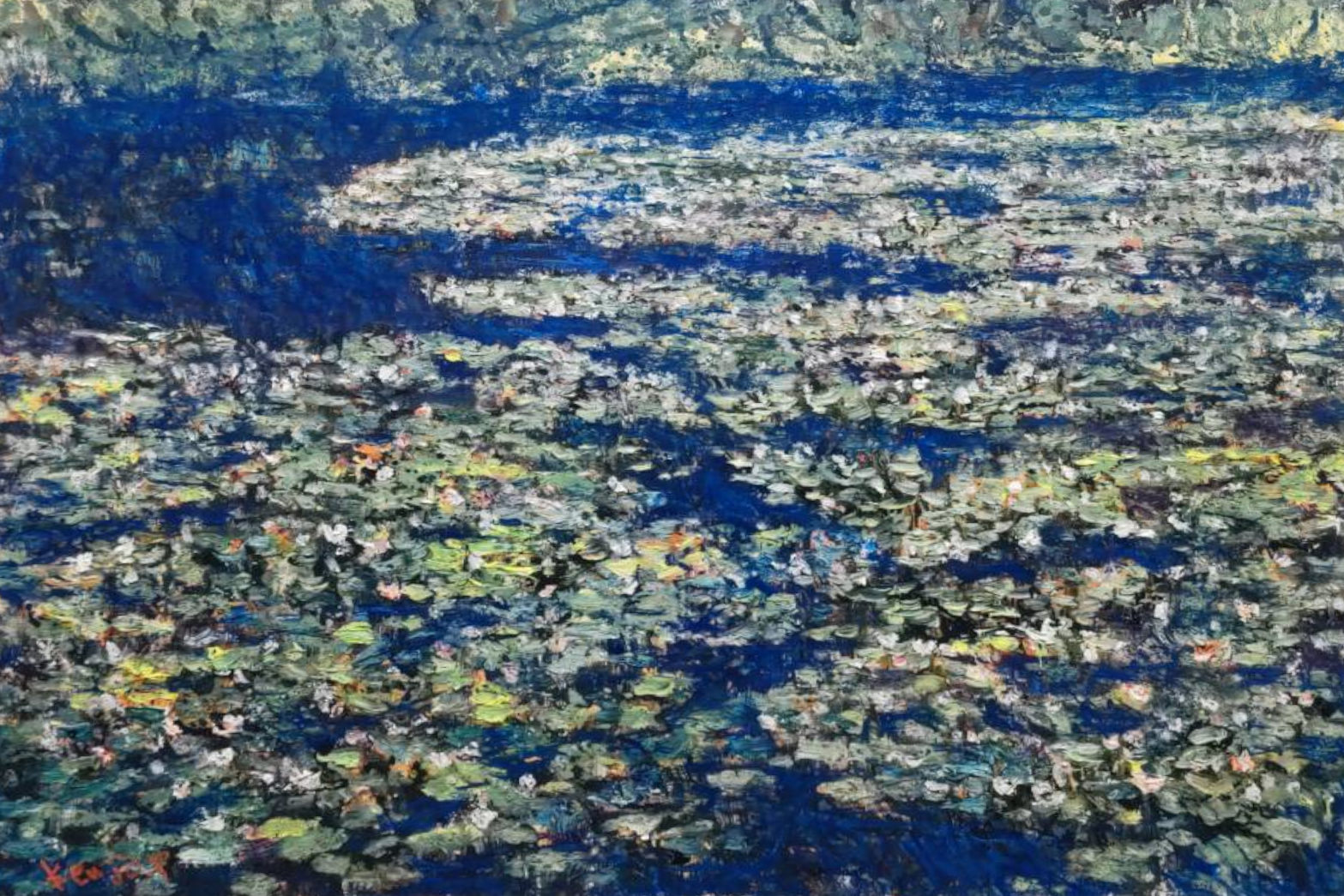 Water-Lilies-9080